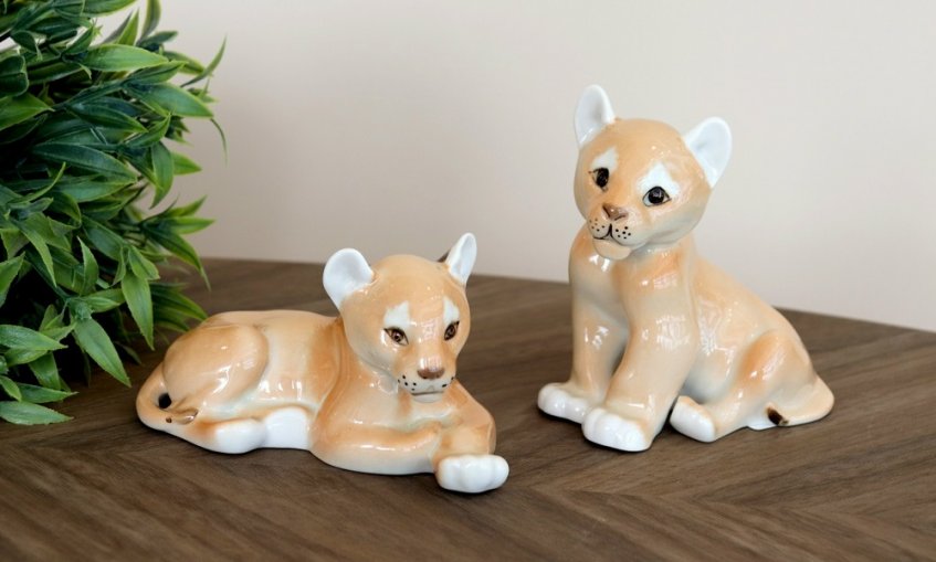 37uHGNK29iLmxi4cjDMFEDxJQ1ar-PYzKWJ9YyUn8NvJrRm_wAaKCX5WsUctZly6YFUPtcK6lwQZFz58T579ZPYy