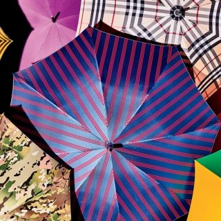Новая коллекция зонтов