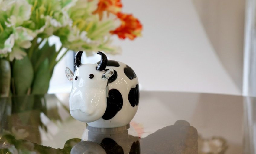 F1zcppBwBJwuw8crp11e8s3ImY3W0ioJJlWaHQXe02IU4-AIOxp0qCRpWexWVHeDe1tuXdSVUN89mecngE7YUOHg