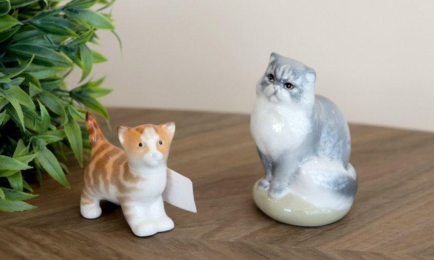 Mfql0b-TmjEFXdz6T99lJoBpRgBpWfwdUasCwaN4MtBtwVMs8Y_LsFdUdL3TLRbrrYs5bijbgubYL7vXIzaR-sUM