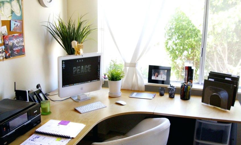 office-with-corner-desk-and-houseplantsgood-cubicle-plants--best