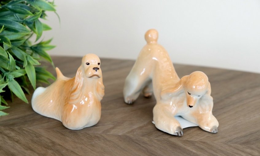 PpoVeQfaqC55JlNtqDOk1qUjNq-McX-LC6WjbQMulXxlH9jNtrhpPokBrwBBlfTEiGwpPi7KpnwJpmYMwJJ-YQb6