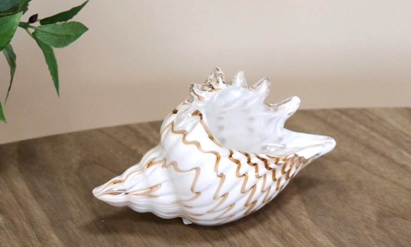 wie9KjXOKvvidy-DACdCPAsySCe3NaGYUL-D-EFo9BBhg9re9oRN3msckJjzbx91QCbqu59QwpWUmtCO7IN7_AZK